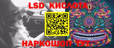 гидра Можга