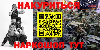 гидра Можга
