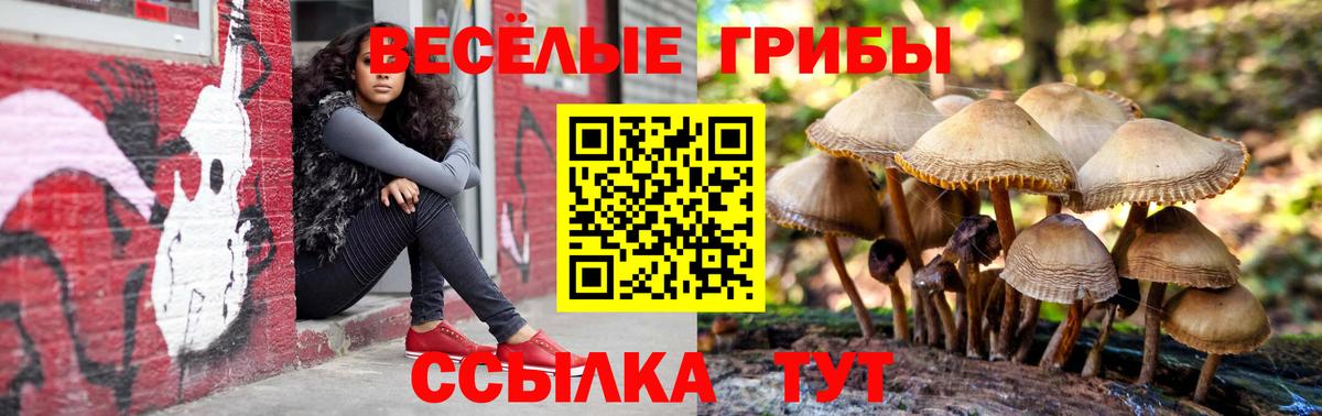 Алапаевск  Псилоцибиновые грибы Magic Shrooms  Вход с VPN 