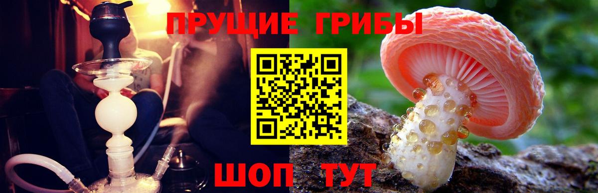 Псилоцибиновые грибы Cubensis Алапаевск